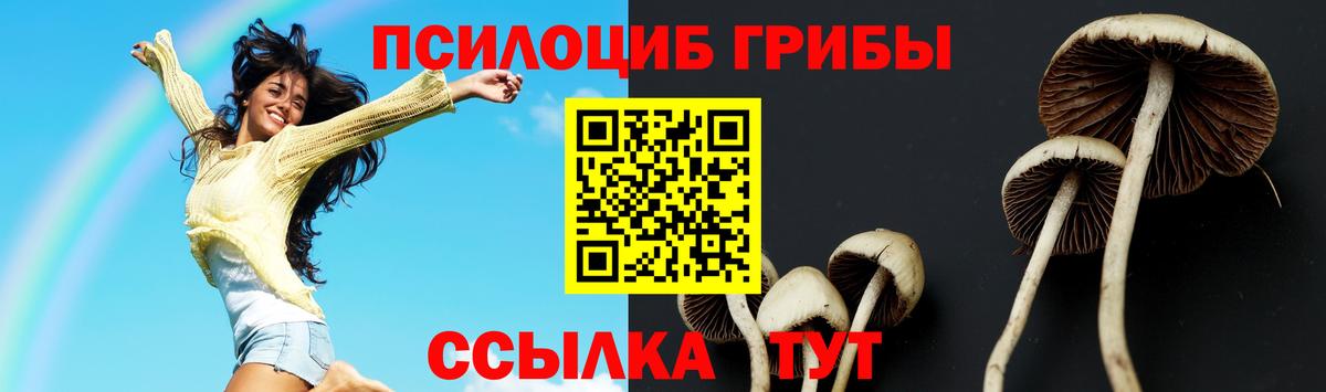 Псилоцибиновые грибы Cubensis  Вход с VPN  Отрадное 
